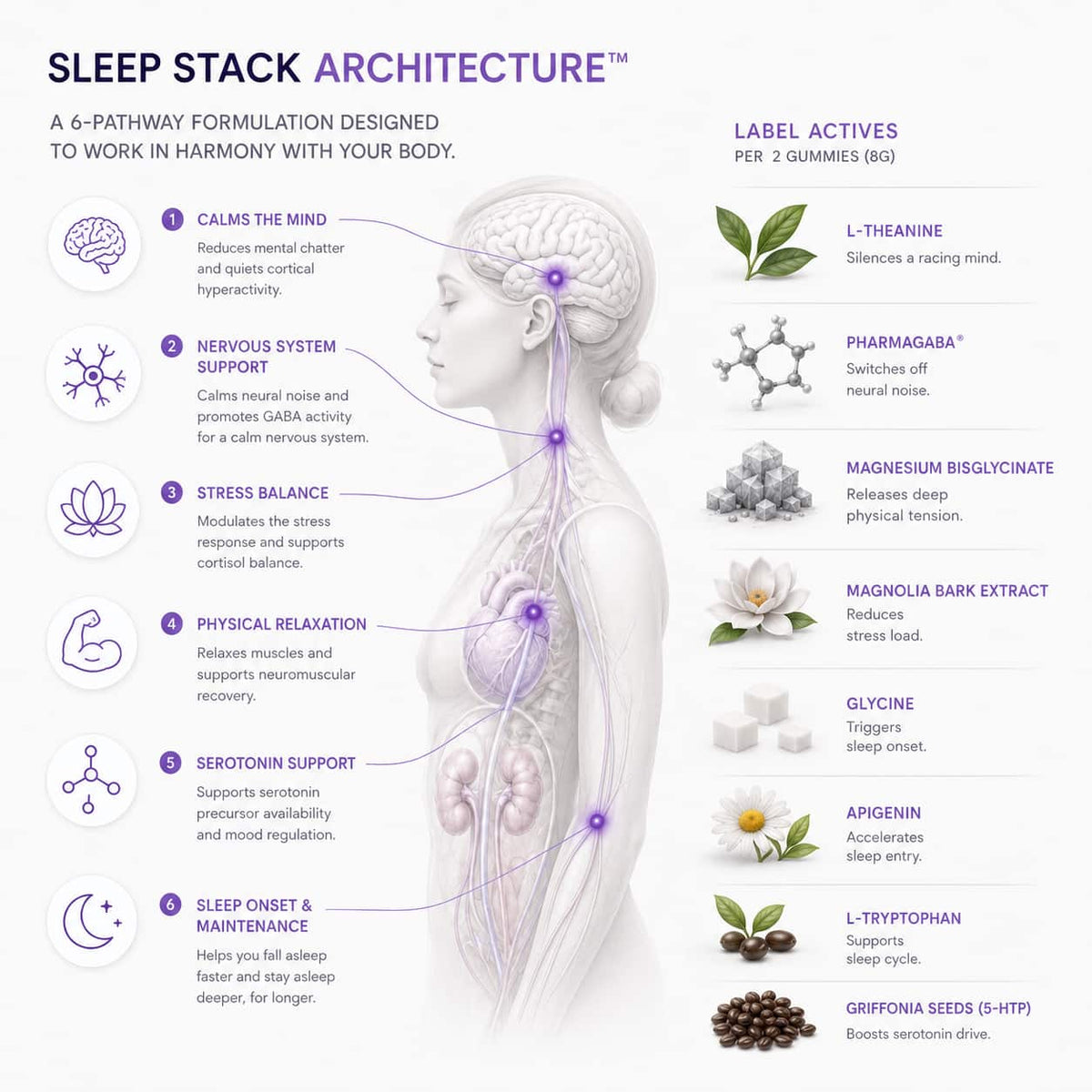 Sleep Deep™ Melatonin Free Sleep Gummies